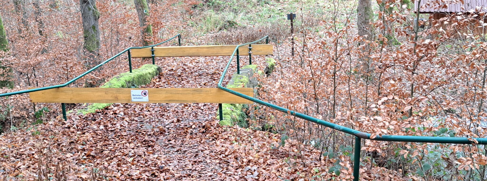 Gesperrte Totenbrücke im Wald bei Finsterbergen