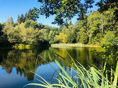 Brandleiteteich am Naturlehrpfad bei Finsterbergen