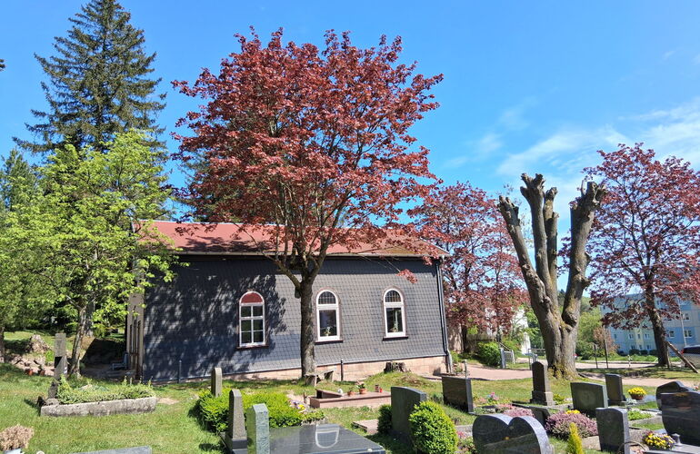 Friedhof Friedrichroda