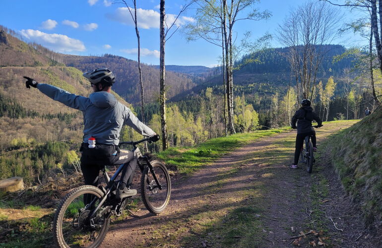Radfahrer auf der Panorama MTB-Tour Inselsberg