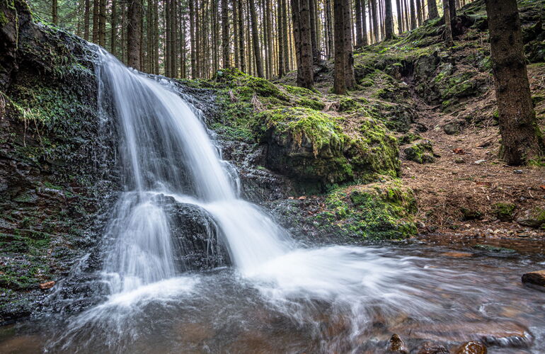 Wasserfall am Schilfwasser bei Friedrichroda