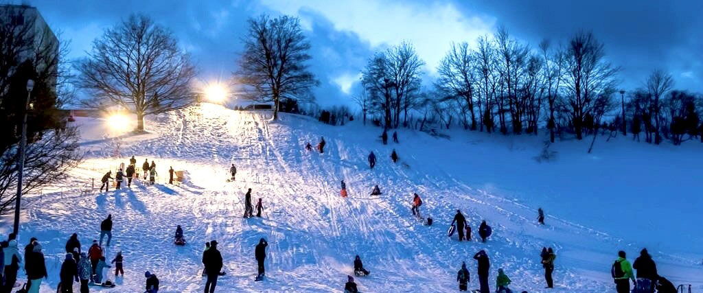 Schlittenfahren am Rodelhang Bornwiese in Finsterbergen im Thüringer Wald